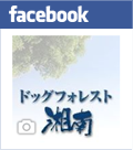 facebook ドッグフォレスト湘南