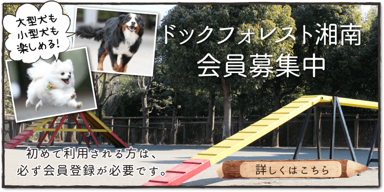 大型犬も小型犬も楽しめる！ドッグフォレスト湘南会員募集中。初めて利用される方は、必ず会員登録が必要です。詳しくはこちら