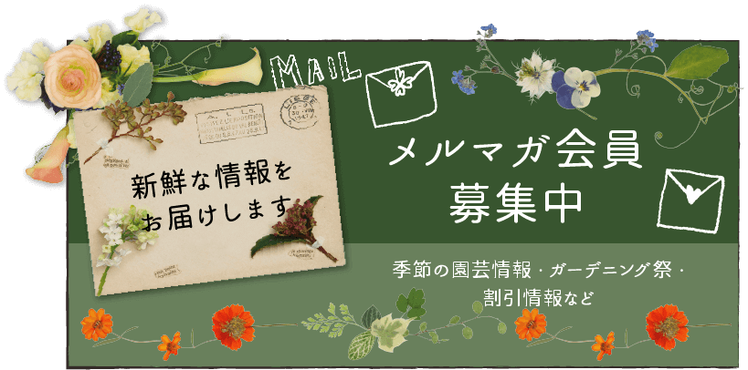 メルマガ会員募集中。季節の園芸情報・ガーデニング祭・割引情報など、新鮮な情報をお届けします