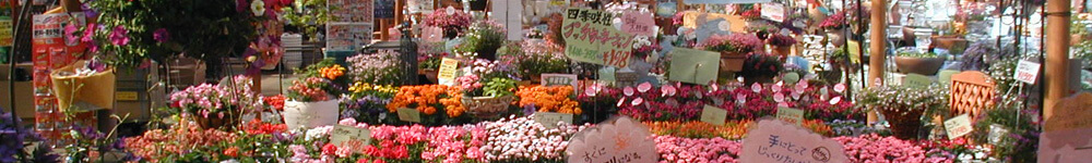 写真：木村植物園内