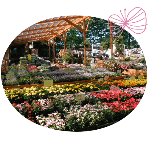 写真：木村植物園内