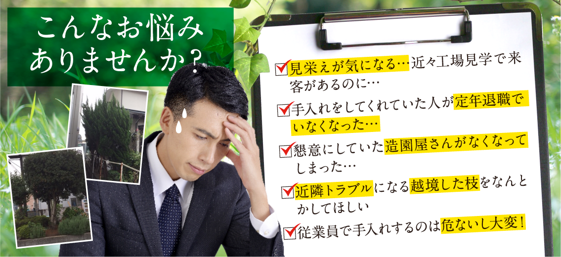 こんなお悩みありませんか?見栄えが気になる…近々工場見学で来客があるのに…。手入れをしてくれていた人が定年退職でいなくなった…。懇意にしていた造園屋さんがなくなってしまった…。近隣トラブルになる越境した枝をなんとかしてほしい。従業員で手入れするのは危ないし大変!