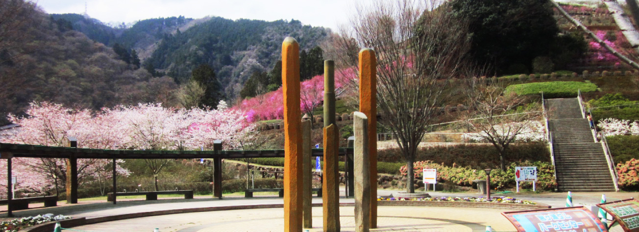 写真：公園