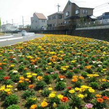 写真：平塚市の四之宮下水処理場