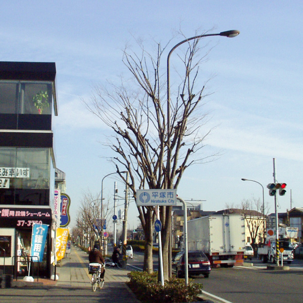 写真：国土交通省：国道1号線（藤沢市～箱根町）