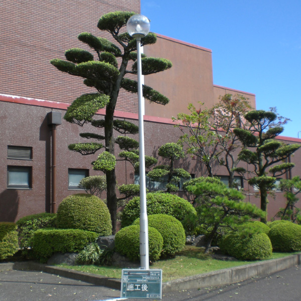 写真：秦野市 秦野文化会館