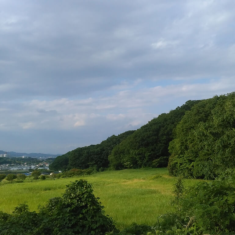 写真：土屋ケーキ搬入路