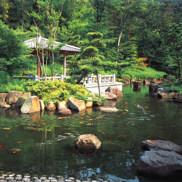 写真：県立大磯城山公園 (神奈川県大磯町)