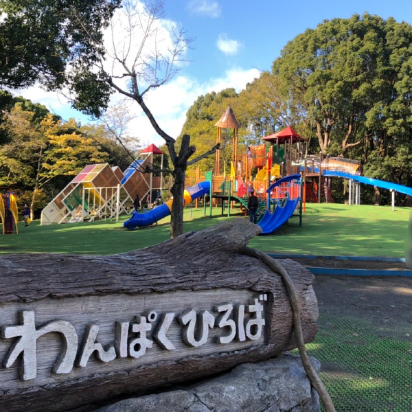 写真：平塚市総合公園わんぱく広場遊具更新工事