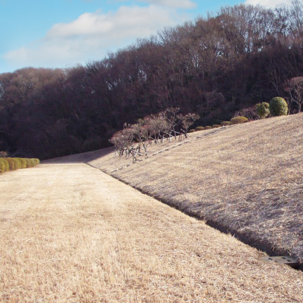 写真：土屋ケーキ搬入路