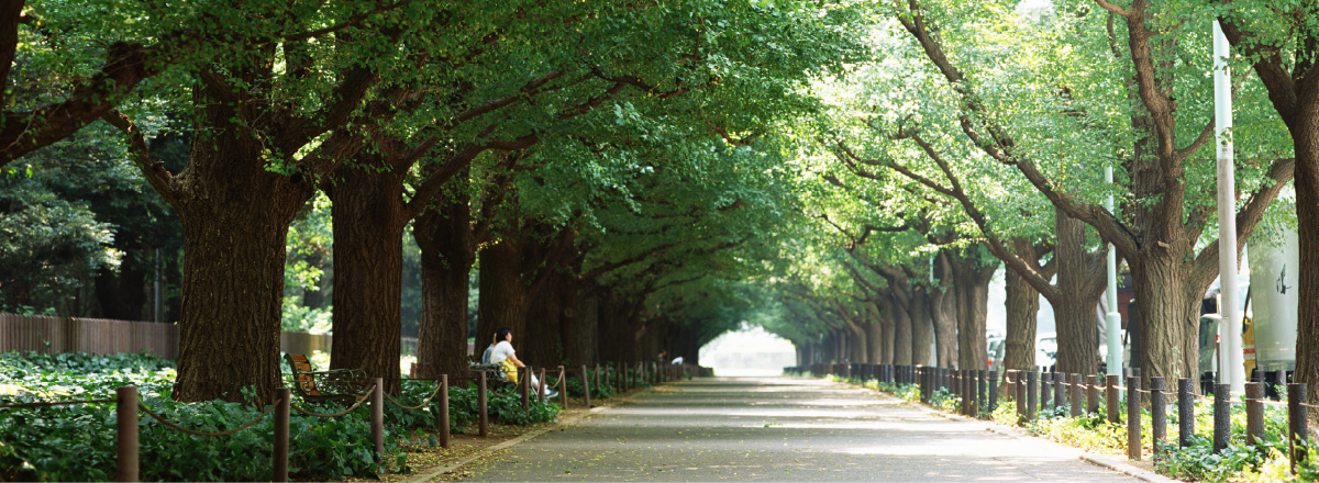 写真：公園