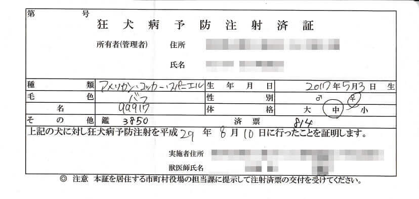 写真：狂犬病予防注射済証