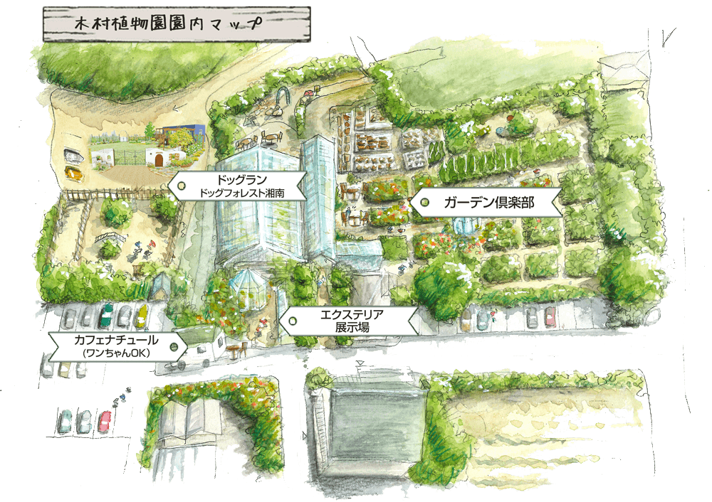 イラスト：木村植物園園内マップ