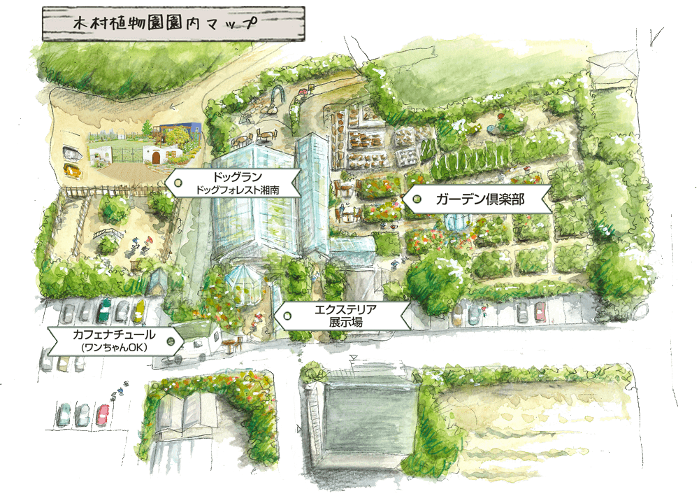 ドッグラン ドッグフォレスト湘南 木村植物園 神奈川県平塚市