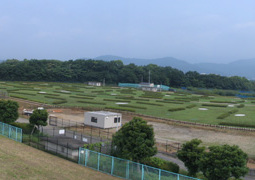 写真：湘南ひらつかパークゴルフ場