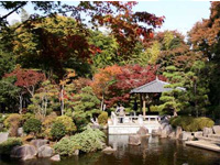 写真：神奈川県立大磯城山公園