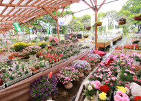 写真：木村植物園02