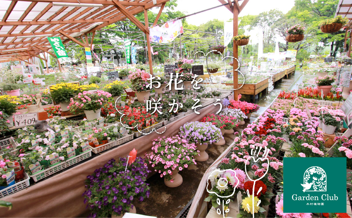 花苗 ガーデン用品 ガーデン倶楽部 木村植物園 神奈川県平塚市