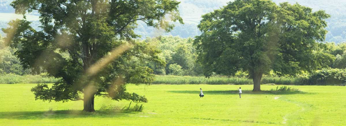 写真：整備された庭園