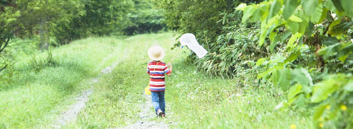 写真：植育・花育の様子