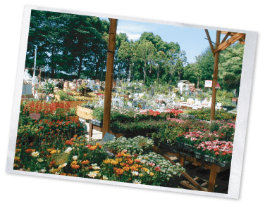 写真：木村植物園内01