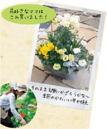 花好きなママはこれ買いました！そのまま玄関に飾ろうかな〜季節のかわいい寄せ植え