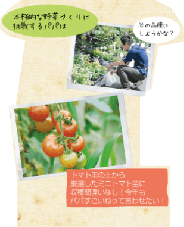 本格的な野菜作りに挑戦するパパは「どの品種にしようかな？」と考え中。トマト用の土から厳選したミニトマト苗に収穫間違いなし！今年もパパすごいねって言わせたい！