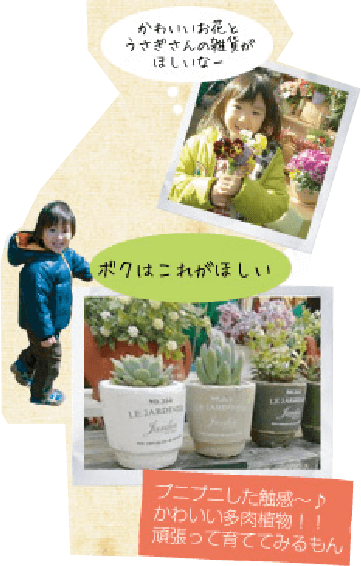 かわいいお花とうさぎさんの雑貨が欲しいなー。ボクは多肉植物がほしい！プニプニした触感〜♪かわいい多肉植物！！頑張って育ててみるもん