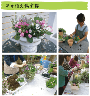 寄せ植え倶楽部。画像は寄せ植えの様子