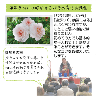 毎年きれいに咲かせるバラの育て方講座。「バラは難しいから」「虫がつく、病気になる」とよく言われますが、もともと弱い植物ではありません。初めての方でも基本的は手入れで十分咲かせることができます。そんなコツをお教えいたします。参加者の声。バラって大変だと思ったけどコツさえつかめば、初心者の私でも育てられる自身がつきました。