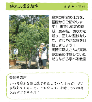 ビギナー向け。植木の剪定教室。庭木の剪定の仕方を、基礎からご紹介します！まずは剪定の時期、忌み枝、切り方を知り、正しい整枝をして、さわやかな庭を目指しましょう！実際に職人さんが実演、参加者に体験していただきながら学べる教室。参加者の声。いつも庭木を自己流で失敗していたけれど、プロに教えてもらって、これからは、失敗しないお手入れができそうだ！