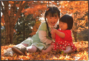 写真：落ち葉で遊ぶ子供たち