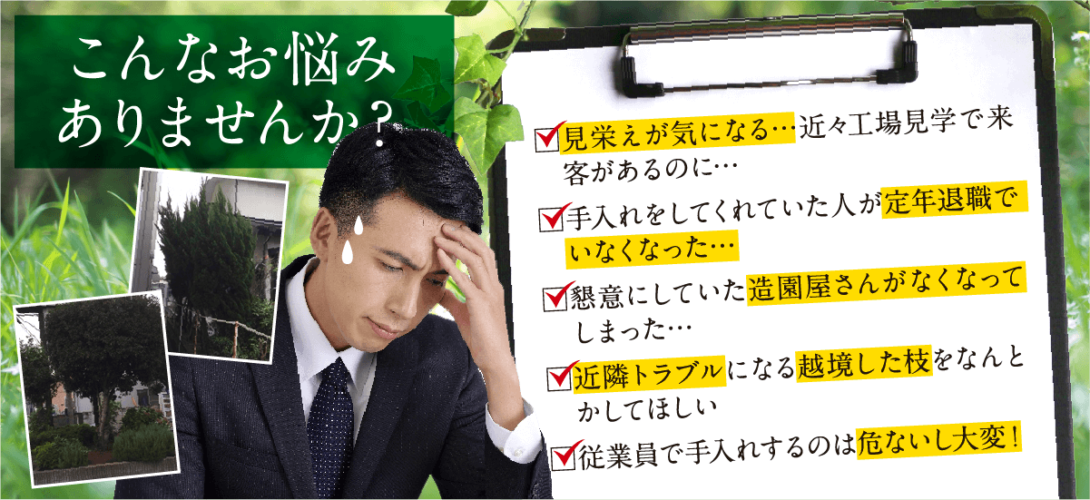 こんなお悩みありませんか？見栄えが気になる…近々工場見学で来客があるのに…。手入れをしてくれていた人が定年退職でいなくなった…。懇意にしていた造園屋さんがなくなってしまった…。近隣トラブルになる越境した枝をなんとかしてほしい。従業員で手入れするのは危ないし大変！