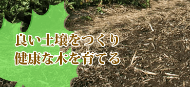 良い土壌つくり、健康な木を育てる