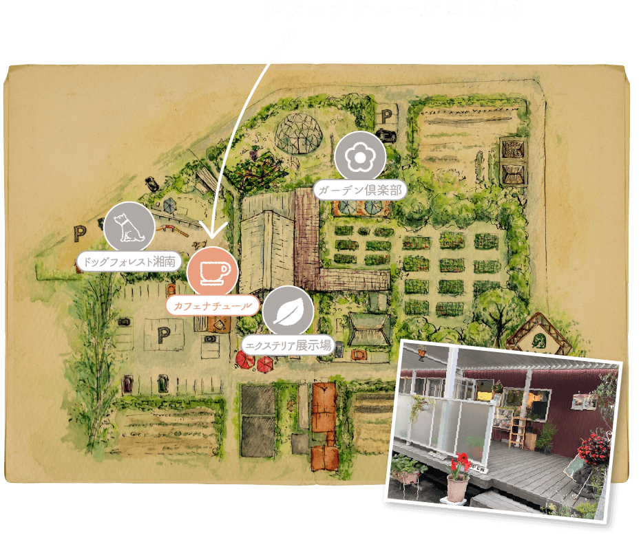 イラスト：木村植物園の地図
