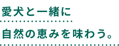 愛犬と一緒に自然の恵みを味わう