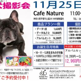 11月25日Cafe Nature チラシ