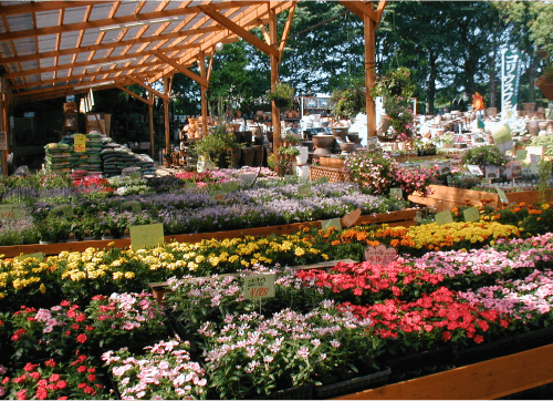 写真：木村植物園2