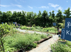 写真：薬草＆ハーブ園