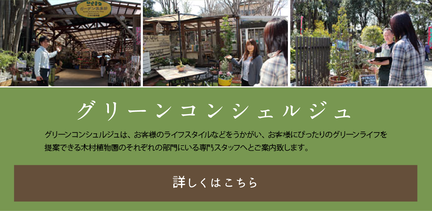 グリーンコンシェルジュ。グリーンコンシェルジュは、お客様のライフスタイルなどをうかがい、お客様にぴったりのグリーンライフを提案できる木村植物園のそれぞれの部門にいる専門スタッフへとご案内いたします。