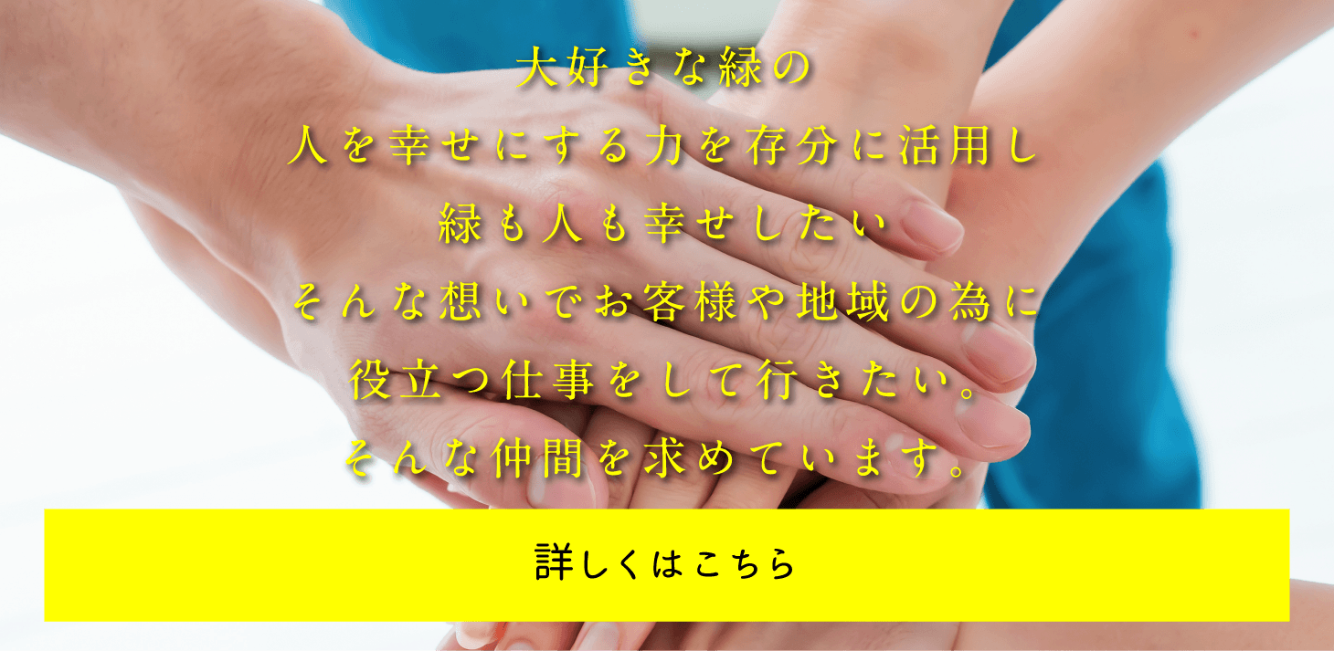 大好きな緑の人を幸せにする力を存分に活用し、緑も人も幸せにしたい。そんな想いでお客様や地域の為に役立つ仕事をして行きたい。そんな仲間を求めています。