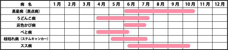 病気の発生しやすい時期画像