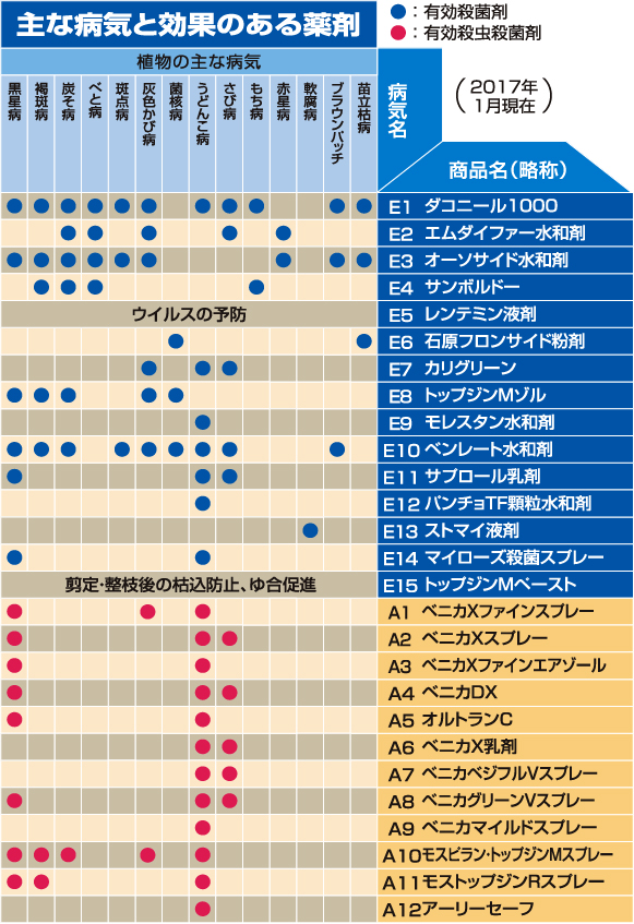 病気に効く薬剤の種類画像