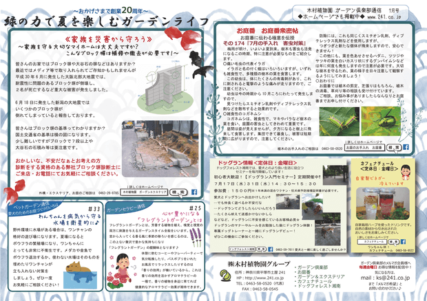 木村植物園 ガーデン倶楽部通信 7月号