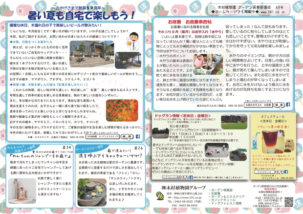 木村植物園 ガーデン倶楽部通信 8月号