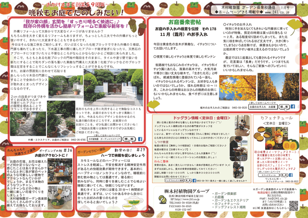 木村植物園 ガーデン倶楽部通信 11月号