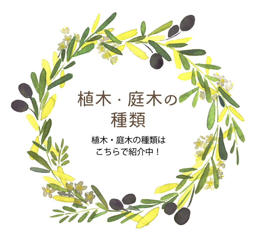 植木 庭木の植え方 暮らしに植物を 木村植物園