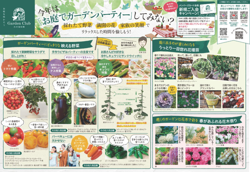 春の花はんこ「キュウリソウ」        