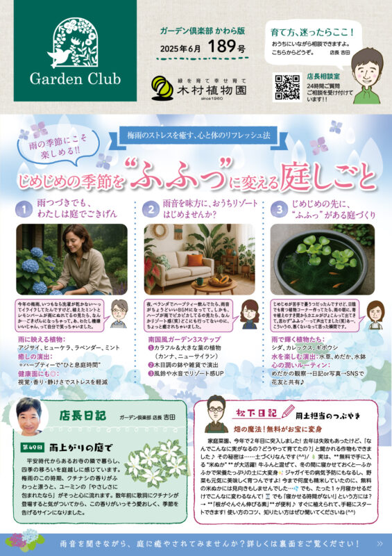 木村植物園かわら版2025年6月号①