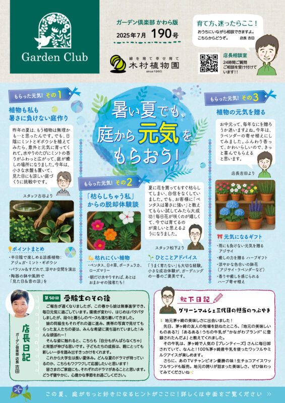 木村植物園かわら版2025年7月号①